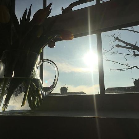 Brighton Boutique Garden Studio With Free Parking Eksteriør billede